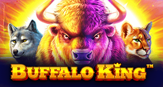 Jogos de futebol hoje